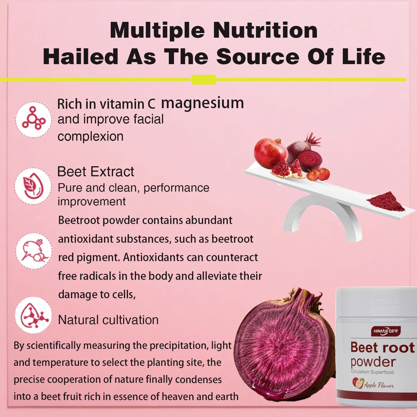 Beet root powder - Image 3